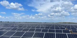 top-utility-ndustry-news-and-updates-january-29-2025