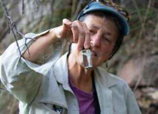 Transition to Renewable Energy Creates Concern in Small Arizona Town – Inside Climate News transition-to-renewable-energy-creates-concern-in-small-arizona-town-nside-climate-news