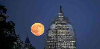 Trump 2.0 and Climate Politics: A View from Washington trump-20-and-climate-politics-a-view-from-washington