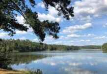 Trump Administration Eyeing Alabama National Forest for Oil and Gas Development trump-administration-eyeing-alabama-national-forest-for-oil-and-gas-development