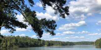 Trump Administration Eyeing Alabama National Forest for Oil and Gas Development trump-administration-eyeing-alabama-national-forest-for-oil-and-gas-development