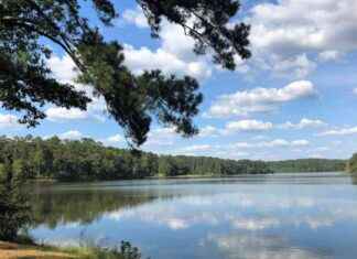 Trump Administration Eyeing Alabama National Forest for Oil and Gas Development trump-administration-eyeing-alabama-national-forest-for-oil-and-gas-development