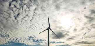 Trump Administration Halts Federal Leases and Permits for Wind Energy Projects trump-administration-halts-federal-leases-and-permits-for-wind-energy-projects