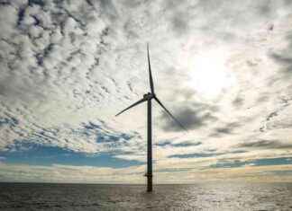 Trump Administration Halts Federal Leases and Permits for Wind Energy Projects trump-administration-halts-federal-leases-and-permits-for-wind-energy-projects