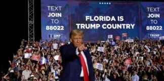 Trump Faces Political Land Mine in Choosing FEMA Pick for Florida trump-faces-political-land-mine-in-choosing-fema-pick-for-florida