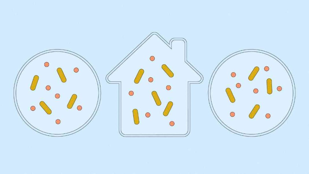 uncovering-co2-eating-microbes-exploring-extreme-environments-and-your-home