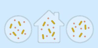 uncovering-co2-eating-microbes-exploring-extreme-environments-and-your-home