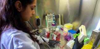 Understanding How PFAS Affects the Brain: 11 Genes Identified by Scientists understanding-how-pfas-affects-the-brain-11-genes-dentified-by-scientists