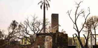 Urban Sprawl and Climate Change: Fueling LA’s Deadly Fires urban-sprawl-and-climate-change-fueling-las-deadly-fires