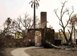 Urban Sprawl and Climate Change: Fueling LA’s Deadly Fires urban-sprawl-and-climate-change-fueling-las-deadly-fires