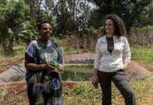 Utilizing Capital-Market Borrowing to Achieve COP29 Goal utilizing-capital-market-borrowing-to-achieve-cop29-goal