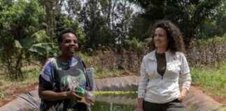 Utilizing Capital-Market Borrowing to Achieve COP29 Goal utilizing-capital-market-borrowing-to-achieve-cop29-goal