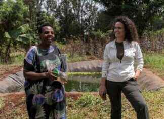 Utilizing Capital-Market Borrowing to Achieve COP29 Goal utilizing-capital-market-borrowing-to-achieve-cop29-goal