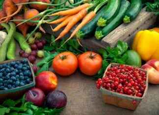 Antioxidants in Fruits, Veggies and Nuts Counteract Harmful Microplastics Impacts antioxidants-in-fruits-veggies-and-nuts-counteract-harmful-microplastics-mpacts