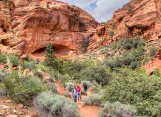 Broad Support for Conservation and Climate Action in the West broad-support-for-conservation-and-climate-action-in-the-west