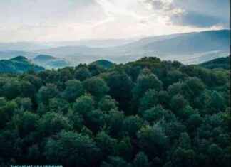 CCS Technologies: Advancements and Cost Analysis ccs-technologies-advancements-and-cost-analysis