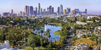 central-los-angeles-trees-absorb-more-carbon-new-study