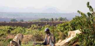 Challenges of DRC’s Green Corridor Project: Engaging Forest Communities challenges-of-drcs-green-corridor-project-engaging-forest-communities