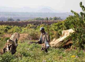 Challenges of DRC’s Green Corridor Project: Engaging Forest Communities challenges-of-drcs-green-corridor-project-engaging-forest-communities