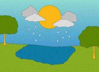 Climate Change and Public Parks: Uniting Communities for Sustainability climate-change-and-public-parks-uniting-communities-for-sustainability