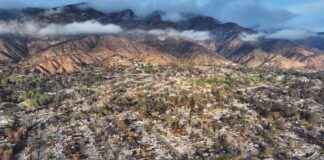 Climate Change Increasing Likelihood of Los Angeles Wildfires: Report climate-change-ncreasing-likelihood-of-los-angeles-wildfires-report