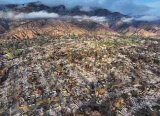 Climate Change Increasing Likelihood of Los Angeles Wildfires: Report climate-change-ncreasing-likelihood-of-los-angeles-wildfires-report