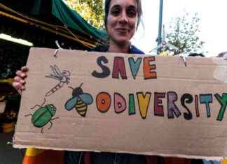 Countries Gather in Rome for COP16 Biodiversity Conference countries-gather-in-rome-for-cop16-biodiversity-conference