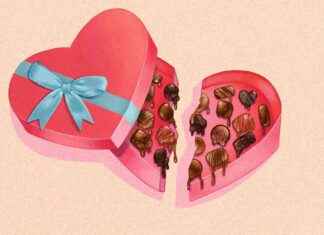 Current Reasons Behind High Chocolate Prices current-reasons-behind-high-chocolate-prices