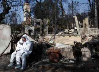 Eaton Fire Disrupts Altadena’s Future: Truce Shattered eaton-fire-disrupts-altadenas-future-truce-shattered