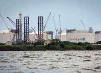 Environmentalists Warn Japan PM Ahead of Trump Summit: Climate Action Needed environmentalists-warn-japan-pm-ahead-of-trump-summit-climate-action-needed