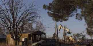 EPA Region 6 Leader for Project 2025 – Inside Climate News epa-region-6-leader-for-project-2025-nside-climate-news