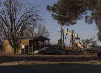 EPA Region 6 Leader for Project 2025 – Inside Climate News epa-region-6-leader-for-project-2025-nside-climate-news