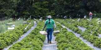 Farmers Sue USDA for Deleting Climate Data farmers-sue-usda-for-deleting-climate-data