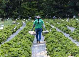 Farmers Sue USDA for Deleting Climate Data farmers-sue-usda-for-deleting-climate-data