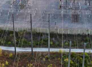 Federal Regulator Sparks Outrage with Gas Plant Approval federal-regulator-sparks-outrage-with-gas-plant-approval