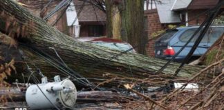 forecasting-financial-mpact-of-storms-on-accounting-practices
