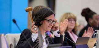 Key Outcomes of Biodiversity COP16.2 in Rome key-outcomes-of-biodiversity-cop162-in-rome