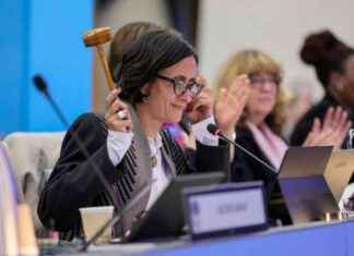 Key Outcomes of Biodiversity COP16.2 in Rome key-outcomes-of-biodiversity-cop162-in-rome