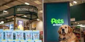 Lab-Grown Meat Pet Treats: Sustainable Solution for Animal Lovers lab-grown-meat-pet-treats-sustainable-solution-for-animal-lovers