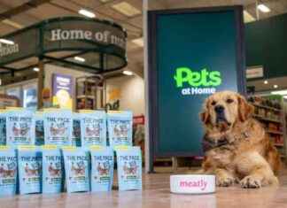 Lab-Grown Meat Pet Treats: Sustainable Solution for Animal Lovers lab-grown-meat-pet-treats-sustainable-solution-for-animal-lovers