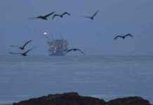 Lawsuit Against Trump for Drilling in Protected Waters lawsuit-against-trump-for-drilling-in-protected-waters