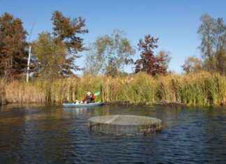 Living in Harmony: Wisconsin Landowners Coexisting with Beavers living-in-harmony-wisconsin-landowners-coexisting-with-beavers