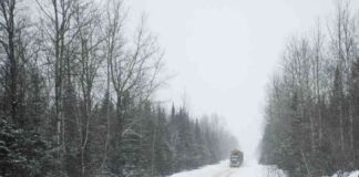 mapping-maines-old-growth-forests-with-lidar-technology