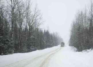 Mapping Maine’s Old-Growth Forests with LiDAR Technology mapping-maines-old-growth-forests-with-lidar-technology