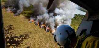 Impact of Federal Funding and Hiring Freezes on Wildfire Vulnerability mpact-of-federal-funding-and-hiring-freezes-on-wildfire-vulnerability