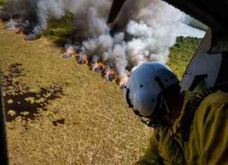 Impact of Federal Funding and Hiring Freezes on Wildfire Vulnerability mpact-of-federal-funding-and-hiring-freezes-on-wildfire-vulnerability