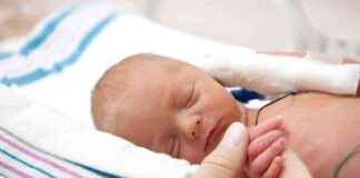 Impact of Microplastics on Premature Births: A Critical Analysis mpact-of-microplastics-on-premature-births-a-critical-analysis