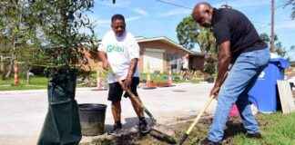 Impact of Trump Funding Freeze on New Orleans Tree Canopy mpact-of-trump-funding-freeze-on-new-orleans-tree-canopy