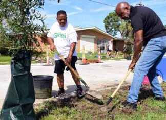 Impact of Trump Funding Freeze on New Orleans Tree Canopy mpact-of-trump-funding-freeze-on-new-orleans-tree-canopy