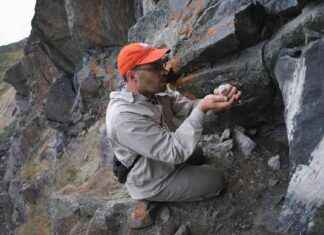 Impact of Trump’s Funding Freeze on Climate Science mpact-of-trumps-funding-freeze-on-climate-science